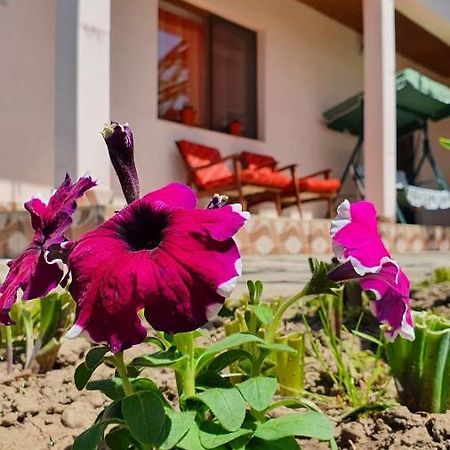 Casa Caraua Villa Greci Kültér fotó