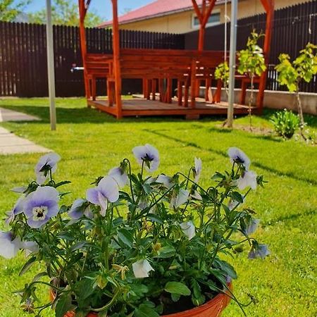 Casa Caraua Villa Greci Kültér fotó
