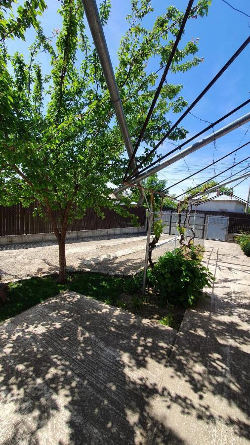 Casa Caraua Villa Greci Kültér fotó