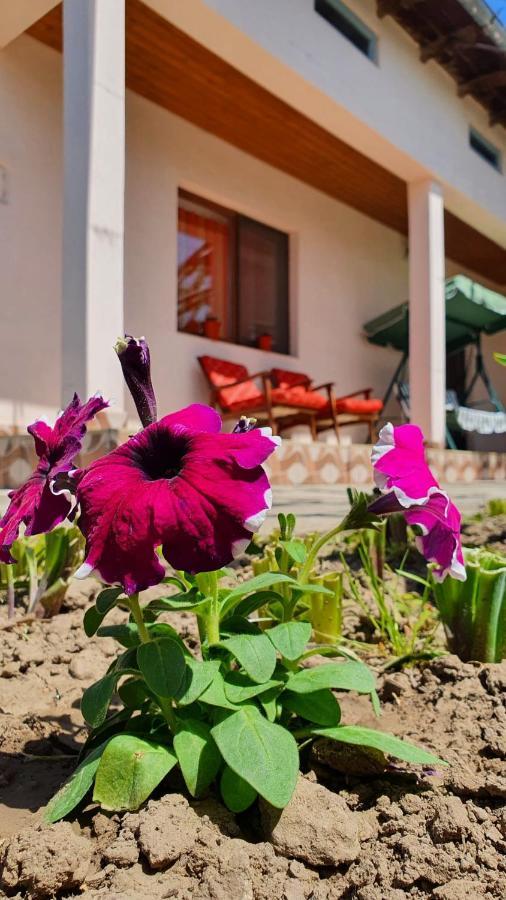 Casa Caraua Villa Greci Kültér fotó